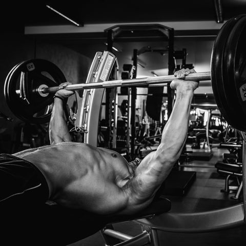 Will Barotti Broke Bench Press World Record On 3 Days’ Training A Week