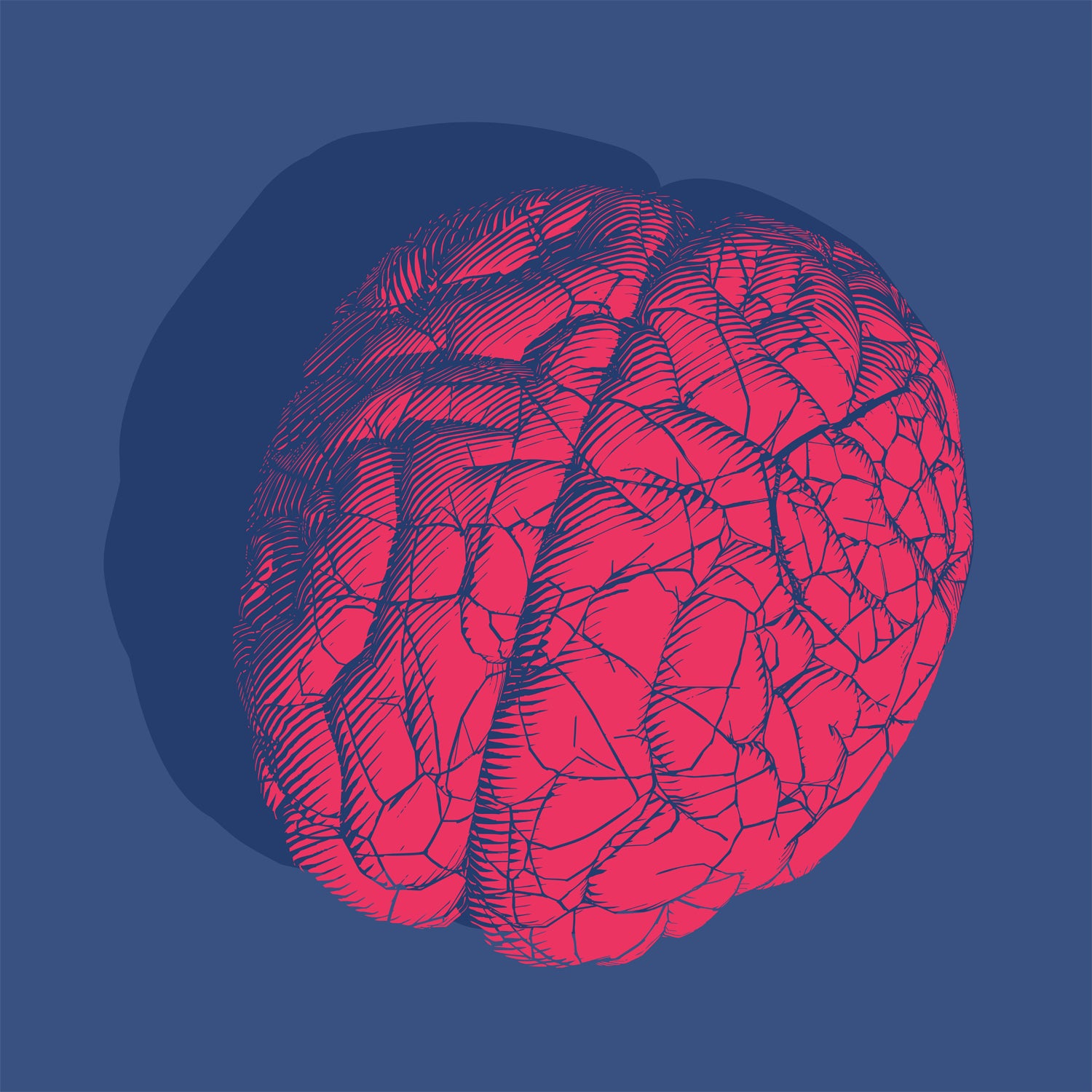 5 Supplements That Can Improve Brain Function