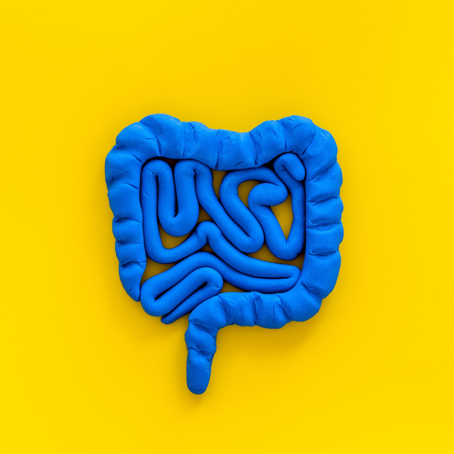 Should Athletes Skip Breakfast To Improve Gut Health?