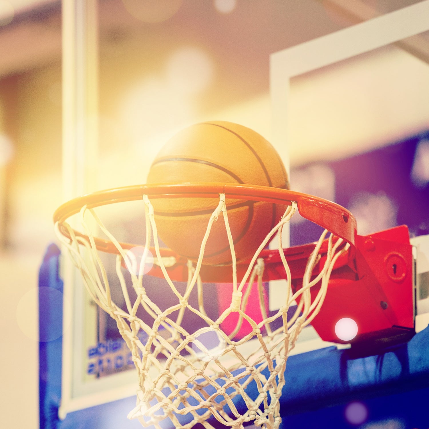 What Strength Training Do NBA Players Do In Preseason Built For what-strength-training-do-nba-players-do-in-preseason-built-for