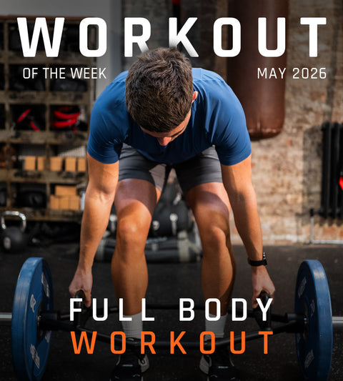 Full Body Workout