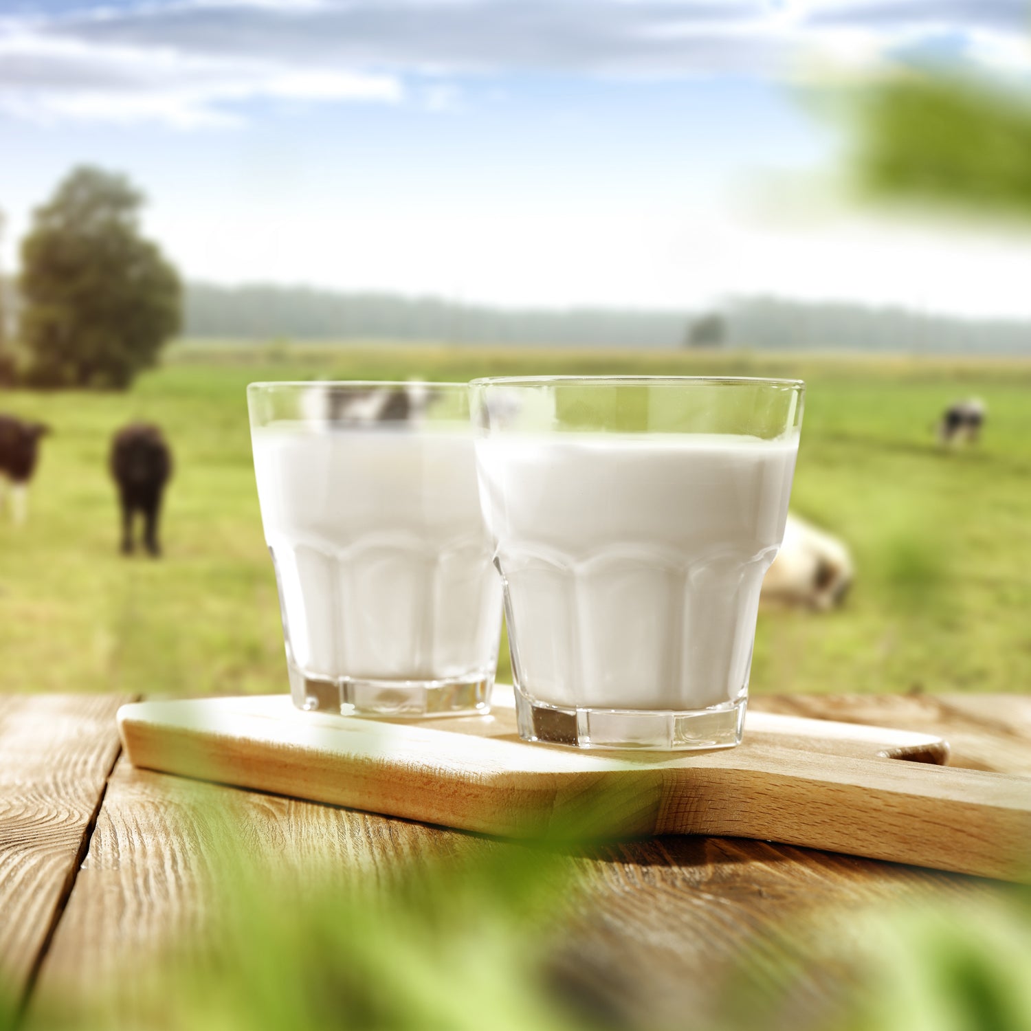 Welche Art von Milch sollten Athleten trinken?