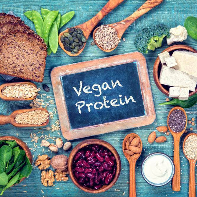 7 Vegane Proteinquellen