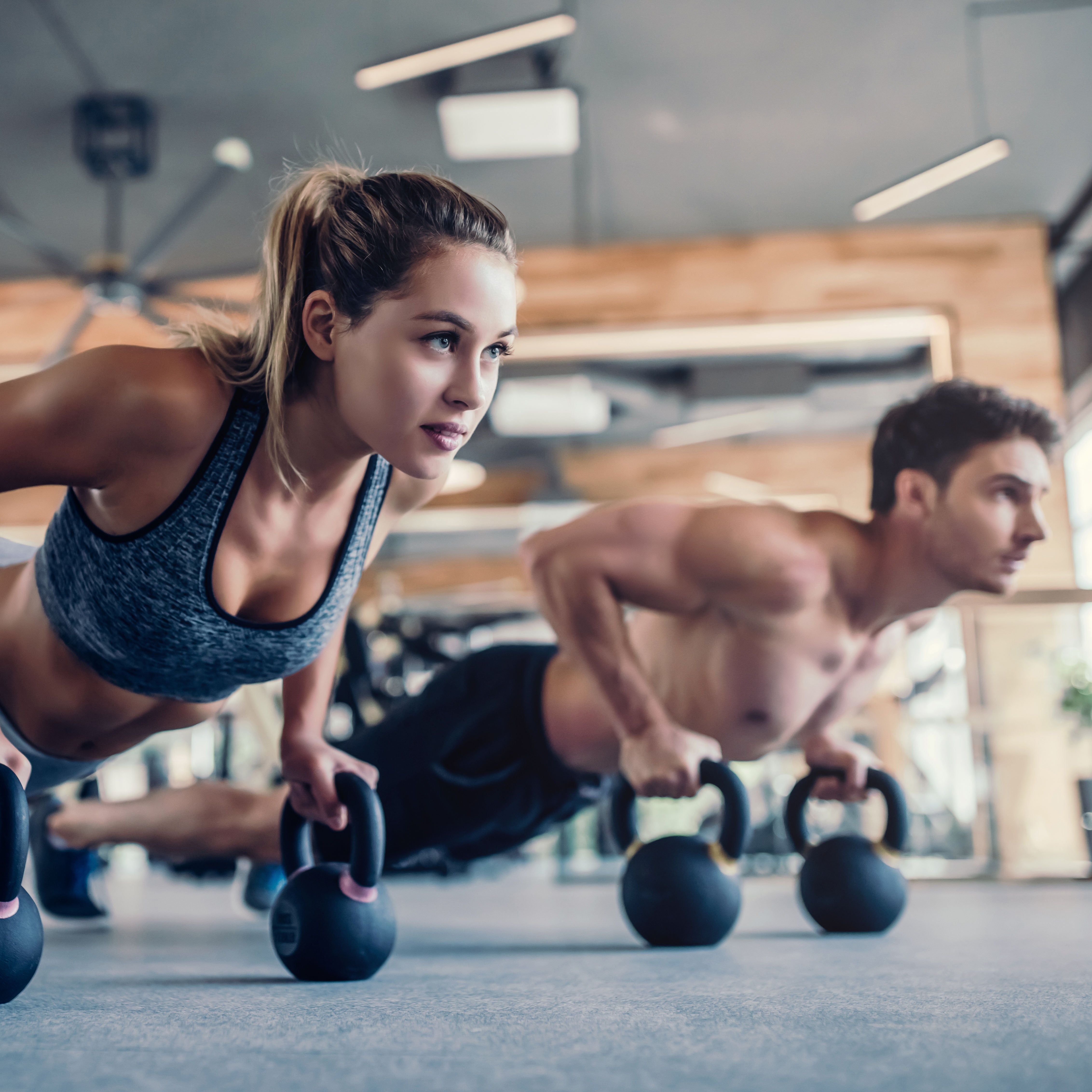 Entraînement des chiroptérologues